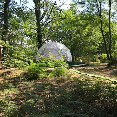 Bulle En Nature Landaise مكان تخييم *