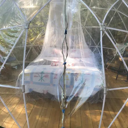 Camping Bulle En Nature Landaise